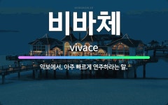 🌟비바체: 악보에서, 아주 빠르게 연주하라는 말. - 표준국어대사전