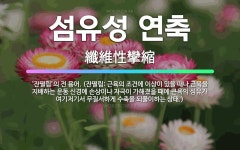 🌟섬유성 연축: ‘잔떨림’의 전 용어. (잔떨림: 근육의 조건에 이상이 있을 때나 근육을 지배하는 운동 신... - 표준국어대사전