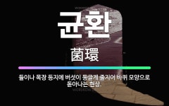 🌟균환: 들이나 목장 등지에 버섯이 둥글게 줄지어 바퀴 모양으로 돋아나는 현상. - 표준국어대사전