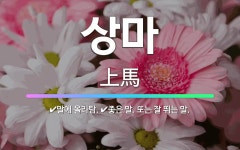 🌟상마: 좋은 말. 또는 잘 뛰는 말., 말에 올라탐. - 표준국어대사전