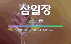 🌟삼일장: 사람이 죽은 지 사흘 만에 지내는 장사. - 표준국어대사전
