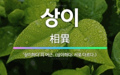 🌟상이: ‘상이하다’의 어근. (상이하다: 서로 다르다.) - 표준국어대사전