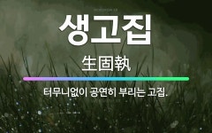 🌟생고집: 터무니없이 공연히 부리는 고집. - 표준국어대사전