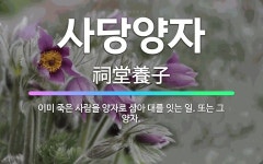 🌟사당양자: 이미 죽은 사람을 양자로 삼아 대를 잇는 일. 또는 그 양자. - 표준국어대사전