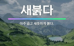 🌟새붉다: 아주 곱고 새뜻하게 붉다. - 표준국어대사전
