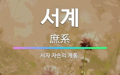 🌟서계: 서자 자손의 계통. - 표준국어대사전
