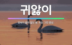 🌟귀앓이: 귓속이 곪아 앓는 병. 또는 그런 증상. - 표준국어대사전