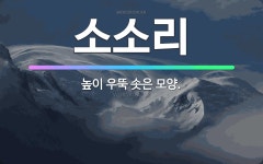 🌟소소리: 높이 우뚝 솟은 모양. - 표준국어대사전