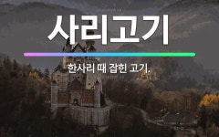🌟사리고기: 한사리 때 잡힌 고기. - 표준국어대사전