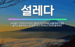 🌟설레다: 가만히 있지 아니하고 자꾸만 움직이다., 마음이 가라앉지 아니하고 들떠서 두근거리다., 물 따위... - 표준국어대사전
