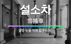 🌟설소차: 쌓인 눈을 치워 없애는 차. - 표준국어대사전