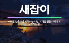 🌟새잡이: 어떤 일을 처음 시작하는 사람., 어떤 일을 다시 새로 시작하는 일. - 표준국어대사전