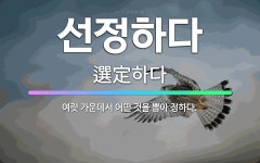 🌟선정하다: 여럿 가운데서 어떤 것을 뽑아 정하다. - 표준국어대사전