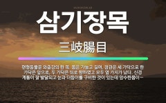 🌟삼기장목: 편형동물문 와충강의 한 목. 몸은 가늘고 길며, 장관은 세 가닥으로 한 가닥은 앞으로, 두 가... - 표준국어대사전