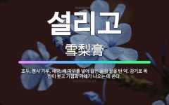 🌟설리고: 호두, 붕사 가루, 새앙, 배 따위를 넣어 끓인 물에 꿀을 탄 약. 감기로 목 안이 붓고 기침과... - 표준국어대사전