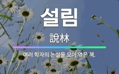 🌟설림: 여러 학자의 논설을 모아 엮은 책. - 표준국어대사전
