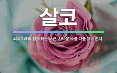 🌟살코: 쇠코뚜레와 함께 꿰는 노끈. 사나운 소를 다룰 때에 쓴다. - 표준국어대사전