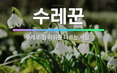 🌟수레꾼: 수레로 짐 따위를 나르는 사람. - 표준국어대사전