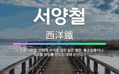🌟서양철: → 생철. (생철: 안팎에 주석을 입힌 얇은 철판. 통조림통이나 석유통 따위를 만드는 데에 쓰인다.) - 표준국어대사전