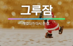 🌟그루잠: 깨었다가 다시 든 잠. - 표준국어대사전