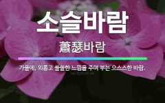 🌟소슬바람: 가을에, 외롭고 쓸쓸한 느낌을 주며 부는 으스스한 바람. - 표준국어대사전