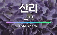 🌟산리: 산속에 있는 마을. - 표준국어대사전