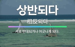🌟상반되다: 서로 반대되거나 어긋나게 되다. - 표준국어대사전