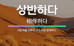 🌟상반하다: 서로 짝을 이루다. 또는 서로 함께하다. - 표준국어대사전