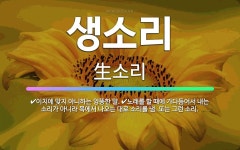 🌟생소리: 이치에 맞지 아니하는 엉뚱한 말., 노래를 할 때에 가다듬어서 내는 소리가 아니라 목에서 나오는... - 표준국어대사전