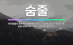 🌟숨줄: 척추동물의 후두에서 허파에 이르는, 숨 쉴 때 공기가 흐르는 관. 심장 위에서 좌ㆍ우의 기관지로 ... - 표준국어대사전