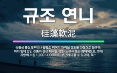 🌟규조 연니: 식물성 플랑크톤이나 돌말의 찌꺼기 따위의 규조를 다량으로 함유한, 바다 밑에 쌓인 진흙과 같... - 표준국어대사전