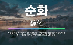 🌟순화: 재료를 취사선택하여 불순 요소를 없애는 일., 정성 어린 가르침으로 감화(感化)함., 잡스러운 것... - 표준국어대사전