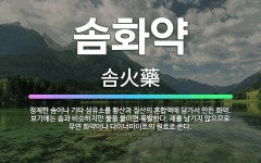 🌟솜화약: 정제한 솜이나 기타 섬유소를 황산과 질산의 혼합액에 담가서 만든 화약. 보기에는 솜과 비슷하지만... - 표준국어대사전