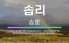🌟솝리: ‘이리’의 옛 이름. (이리: 전라북도에 있던 시. 1995년 5월 행정 구역 개편 때 익산군과 ... - 표준국어대사전