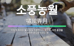 🌟소풍농월: 바람에 휘파람 불고 달을 희롱한다는 뜻으로, 자연 풍경을 구경하며 즐김을 이르는 말. - 표준국어대사전