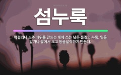 🌟섬누룩: 막걸리나 소주 따위를 만드는 데에 쓰는 낮은 품질의 누룩. 밀을 갈거나 찧어서 크고 둥글넓적하게... - 표준국어대사전