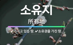 🌟소유지: 가지고 있는 땅., 소유권을 가진 땅. - 표준국어대사전