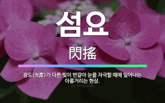 🌟섬요: 광도(光度)가 다른 빛이 번갈아 눈을 자극할 때에 일어나는 아롱거리는 현상. - 표준국어대사전