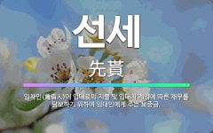 🌟선세: 임차인(賃借人)이 임대료의 지불 및 임대차 계약에 따른 채무를 담보하기 위하여 임대인에게 주는 보증금. - 표준국어대사전