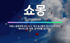 🌟쇼몽: 프랑스 동북부에 있는 도시. 부근 농산물의 집산지이며 장갑, 메리야스류, 피혁, 칼 따위를 생산한다. - 표준국어대사전