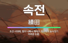 🌟속전: 조선 시대에, 땅이 나빠서 해마다 계속하여 농사짓기 어려운 논밭. - 표준국어대사전