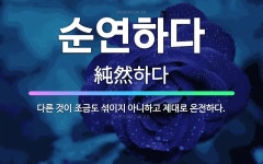 🌟순연하다: 다른 것이 조금도 섞이지 아니하고 제대로 온전하다. - 표준국어대사전