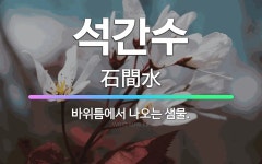 🌟석간수: 바위틈에서 나오는 샘물. - 표준국어대사전