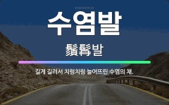 🌟수염발: 길게 길러서 치렁치렁 늘어뜨린 수염의 채. - 표준국어대사전