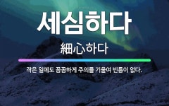 🌟세심하다: 작은 일에도 꼼꼼하게 주의를 기울여 빈틈이 없다. - 표준국어대사전