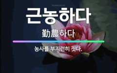 🌟근농하다: 농사를 부지런히 짓다. - 표준국어대사전