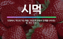 🌟시먹: 단청에서, 먹으로 가는 획을 그어서 두 부분의 경계를 나타내는 일. 또는 그 선. - 표준국어대사전