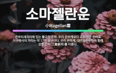 🌟소마젤란운: 큰부리새자리에 있는 불규칙 은하. 우리 은하계보다 조금 작은 은하로 지구에서의 거리는 약 1... - 표준국어대사전