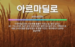 🌟아르마딜로: 아르마딜로과의 포유류를 통틀어 이르는 말. 몸의 길이는 40~70cm이며, 등은 갑옷 모양의... - 표준국어대사전