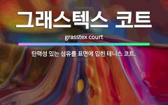 🌟그래스텍스 코트: 탄력성 있는 섬유를 표면에 입힌 테니스 코트. - 표준국어대사전